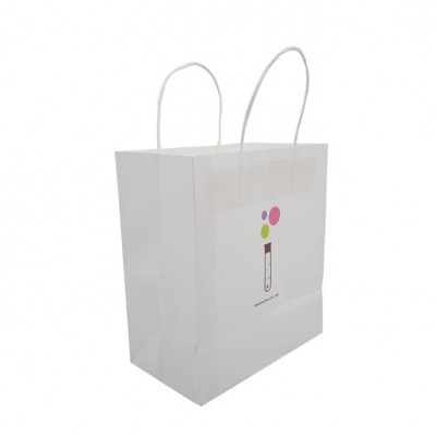 Cute Design and Cheap White Kraft Paper Bags With Custom Logo For Ice Cream Shop